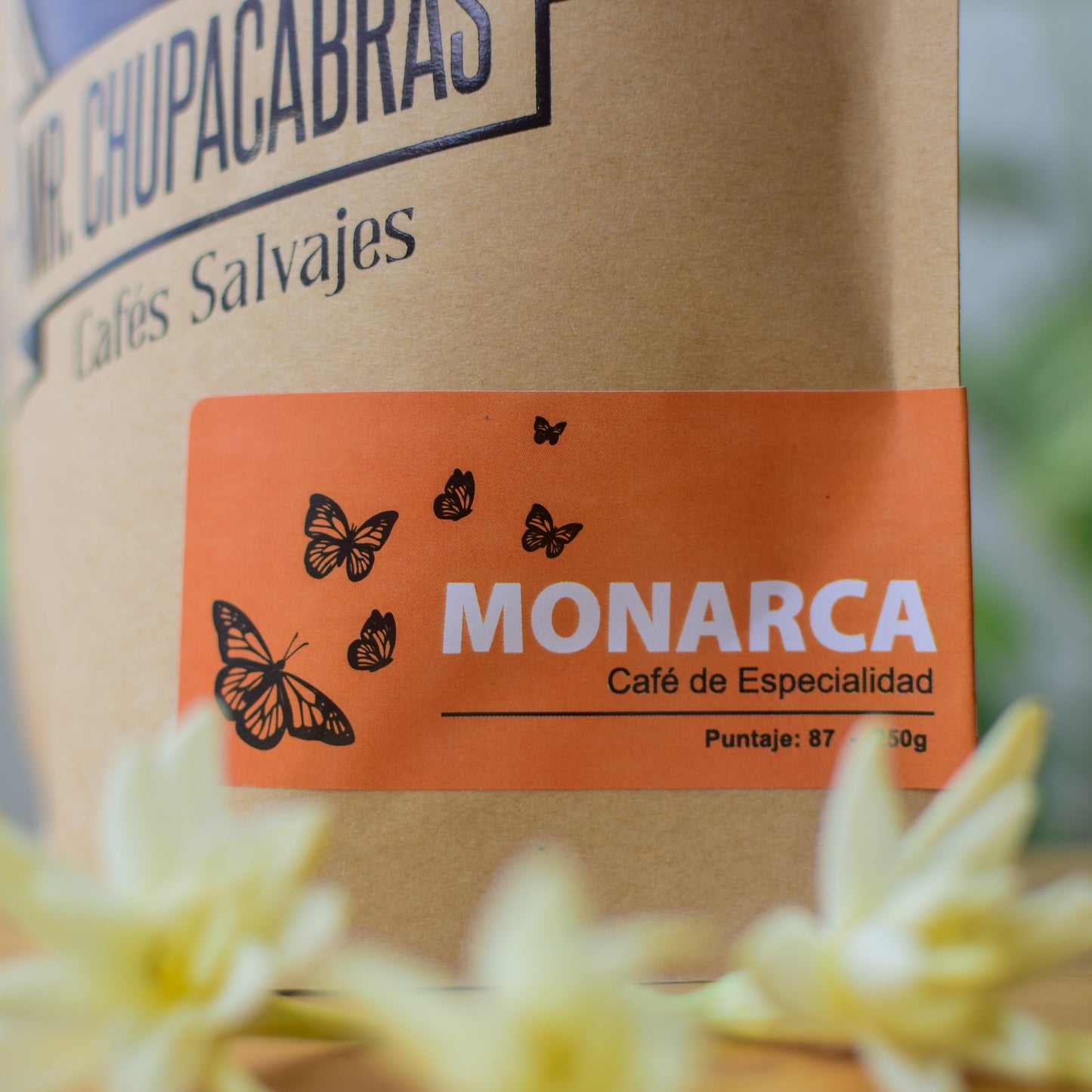 Monarca