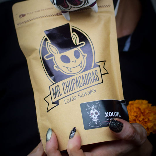 Xolotl, Edición Dia de Muertos