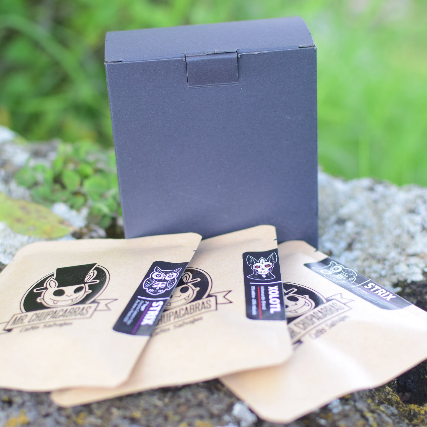 Kit Portátil Strix & Xolotl