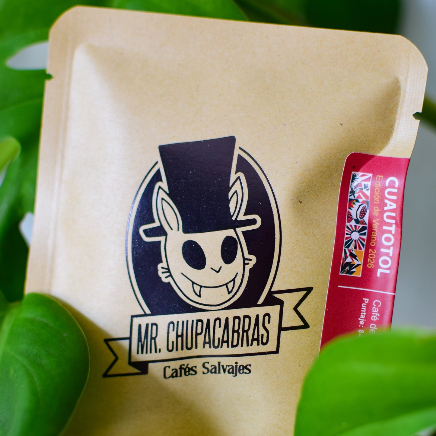 Cuautotol Dripbag