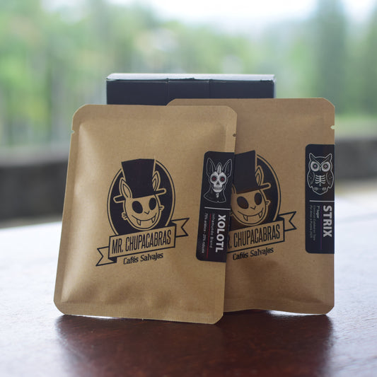 Kit Portátil Strix & Xolotl