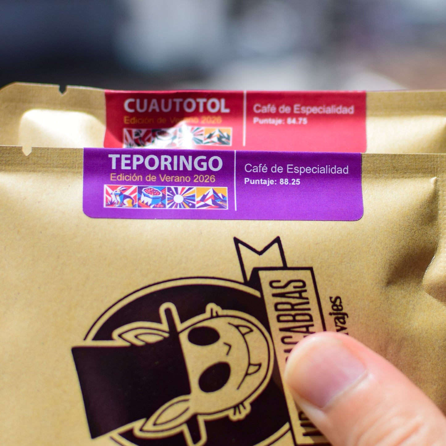 Teporingo Dripper Portátil