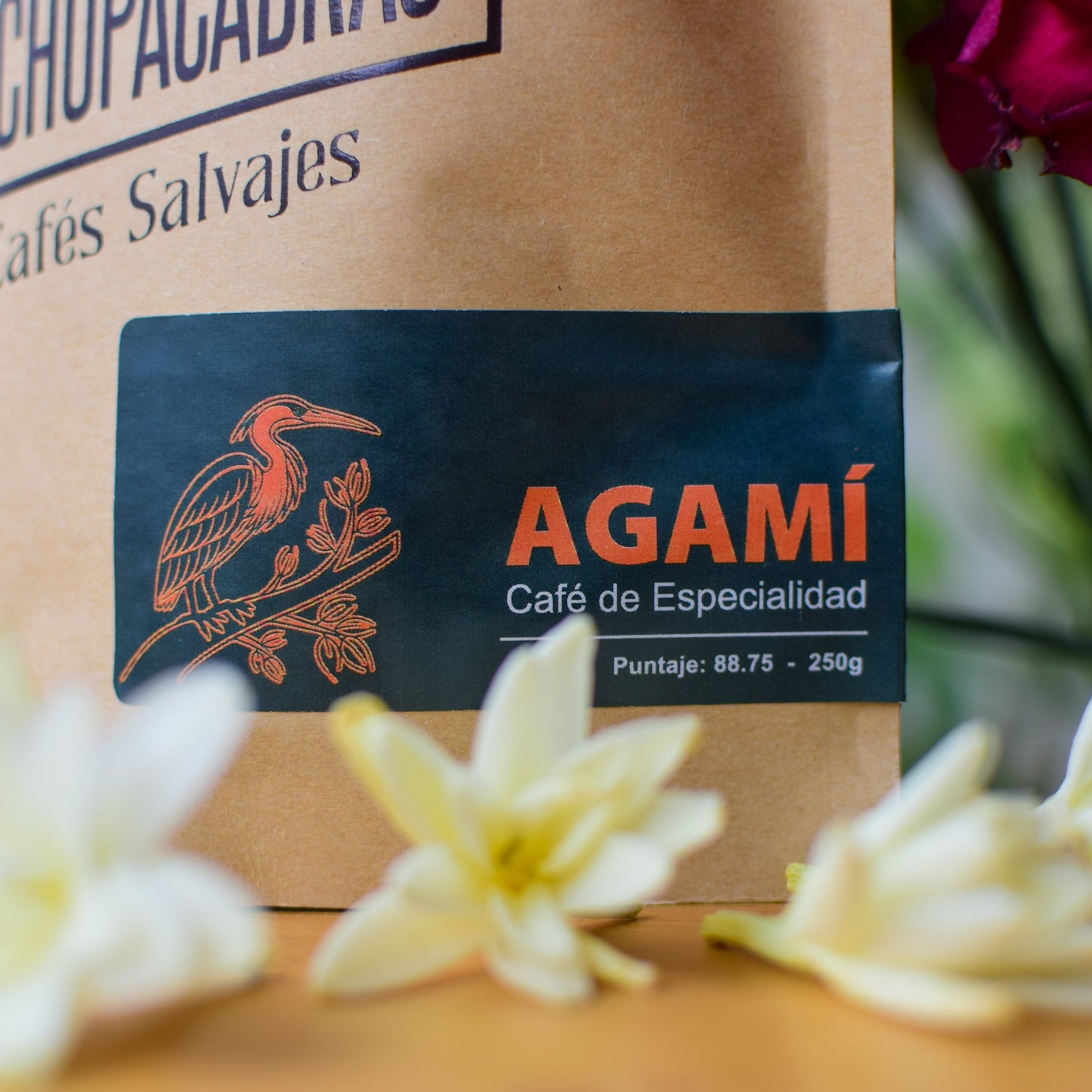 Agamí