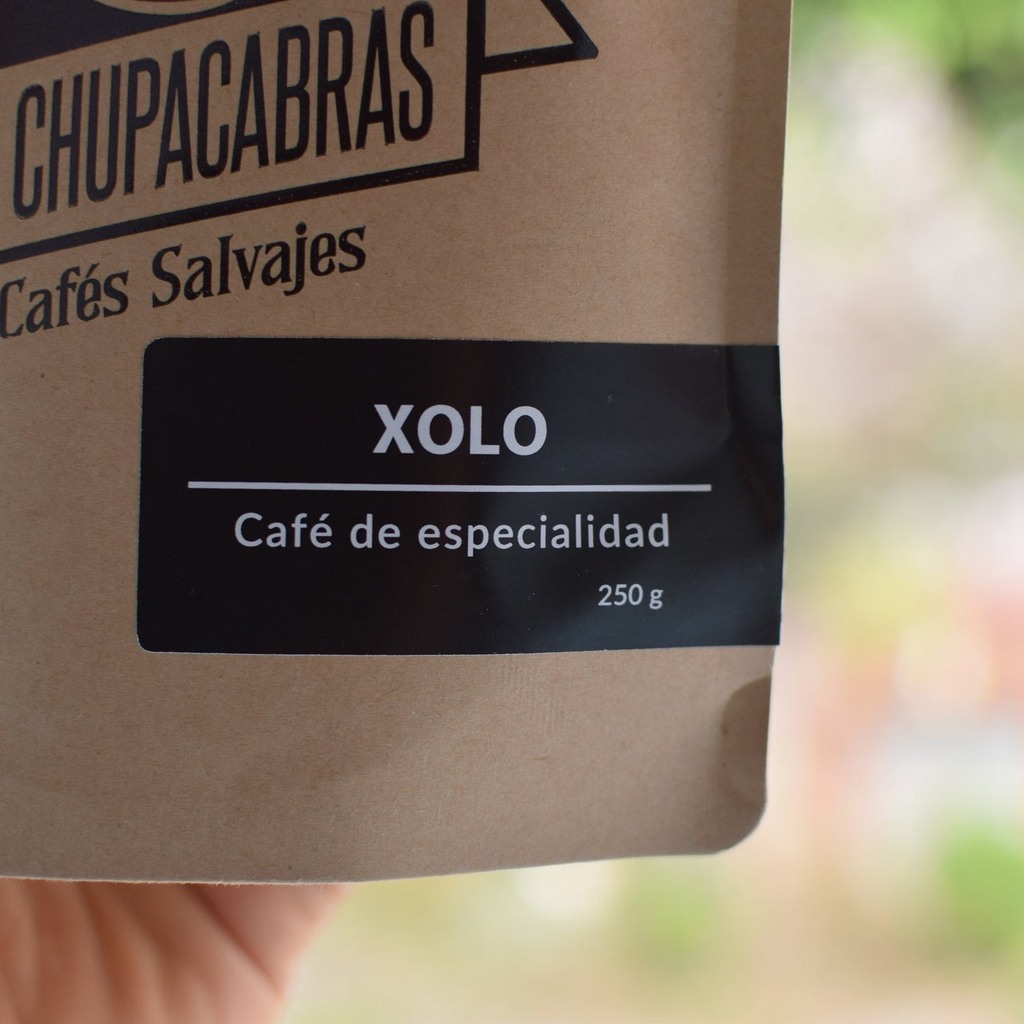 Xolo