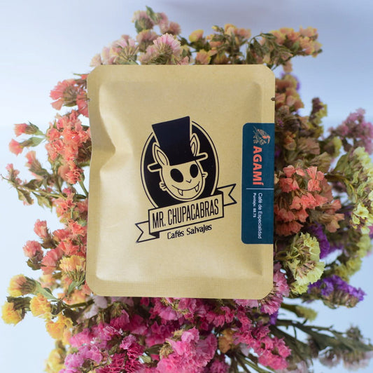 Agamí Dripper Portátil